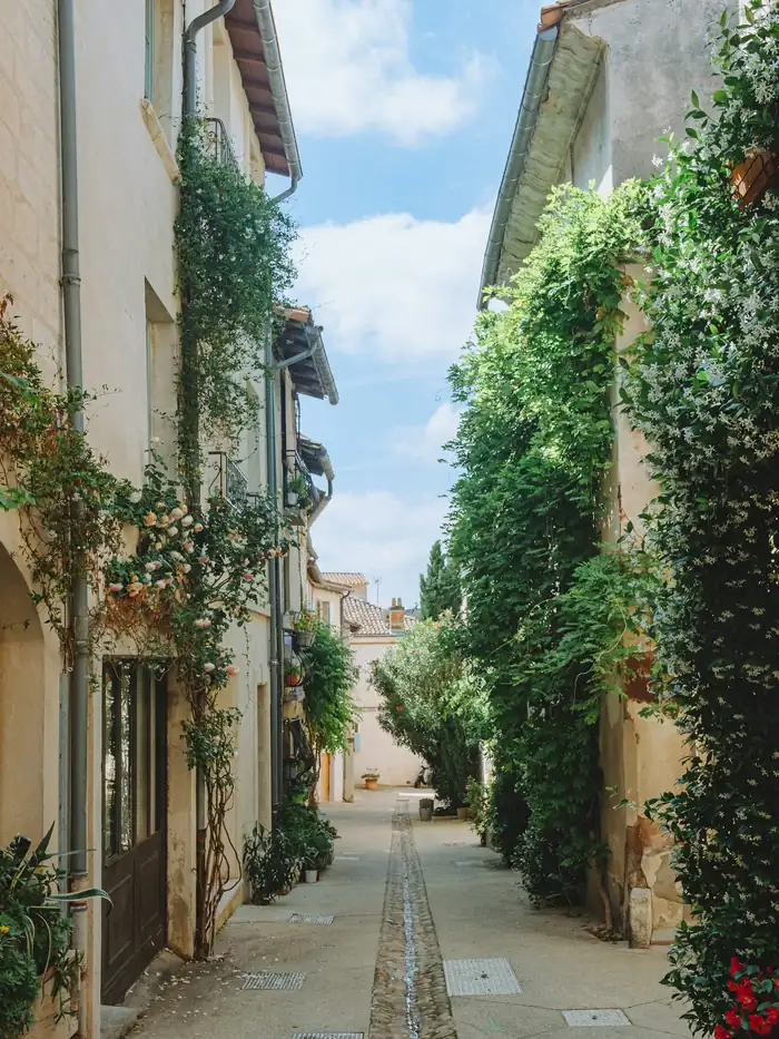 A cobbled lane between stone houses in a Provençal village, France